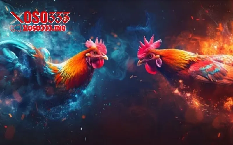 kinh nghiệm nuôi gà đá