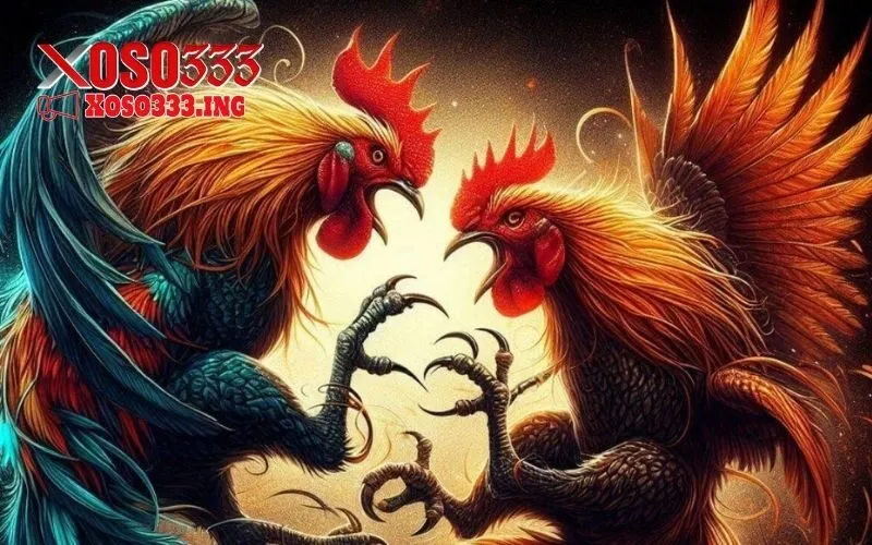 kinh nghiệm nuôi gà đá